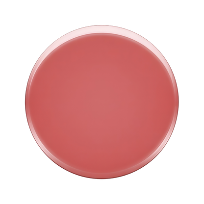 Anfisa ÂN-GLOSS Ceramide Lip Treatment 15ml